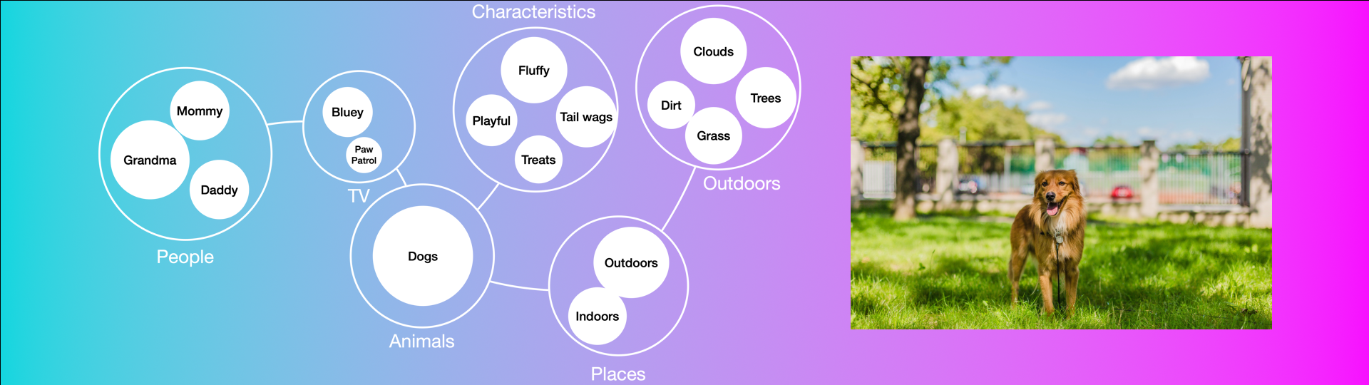 A concept map with People (Mommy, Grandma, Daddy), TV (Bluey, Paw Patrol), Animals (Dogs), Characteristics (Fluffy, Playful, Tail wags, Treats), Outdoors (Clouds, Trees, Grass, Dirt), and a photo of a dog standing in the grass outdoors.